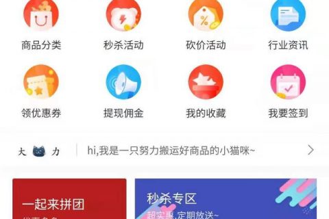 套模板式开发小程序， 定制版小程序需要多少钱